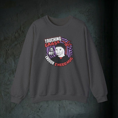 Touching Grass Is Not Enough I Need A Hug - Graphic Sweatshirt